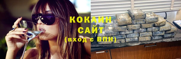 гидропоника Новозыбков