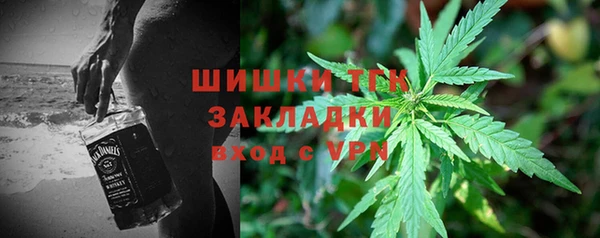 шишки Новокубанск